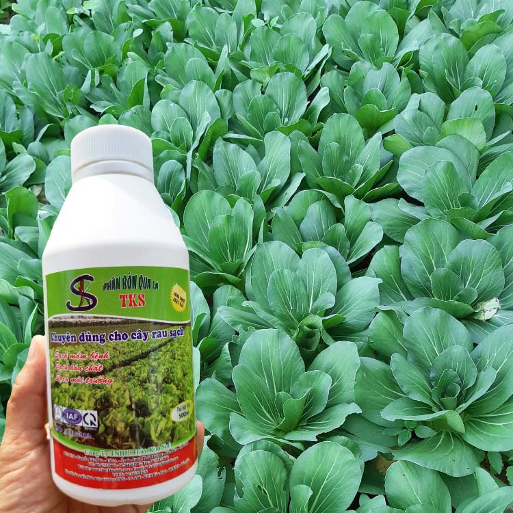 PHÂN BÓN LÁ : Mập Thân, Xanh Lá, Nở Ngọn, Nuôi Trái To, Đẹp Trái - Chai 500ml