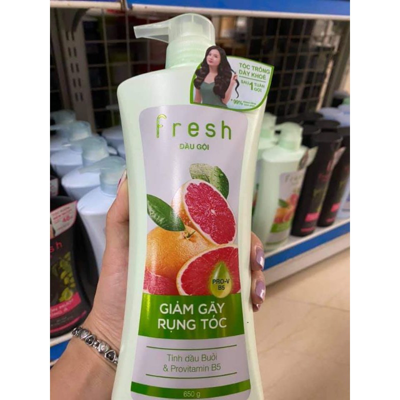 Dầu gội bưởi fresh 650g