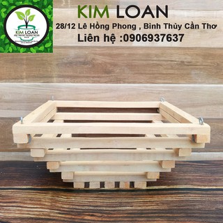 Combo 2 chậu lan gỗ hình tháp C2 25x12cm