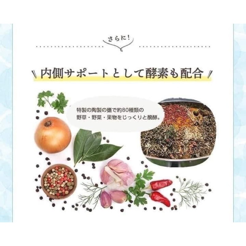 Viên Bổ Sung LACTIC Của Hãng SEEDCOMS Nhật Bản