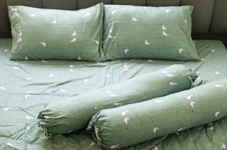 [Có sẵn] Drap Cotton House Thái mẫu mới