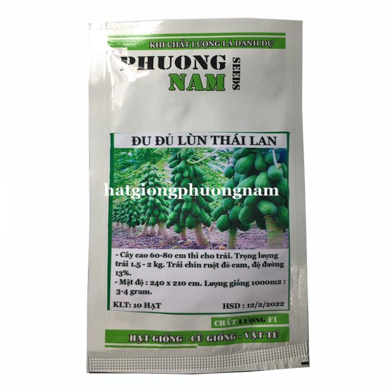 10H - hạt giống đu đủ lùn Thái Lan cao chỉ 60-80cm