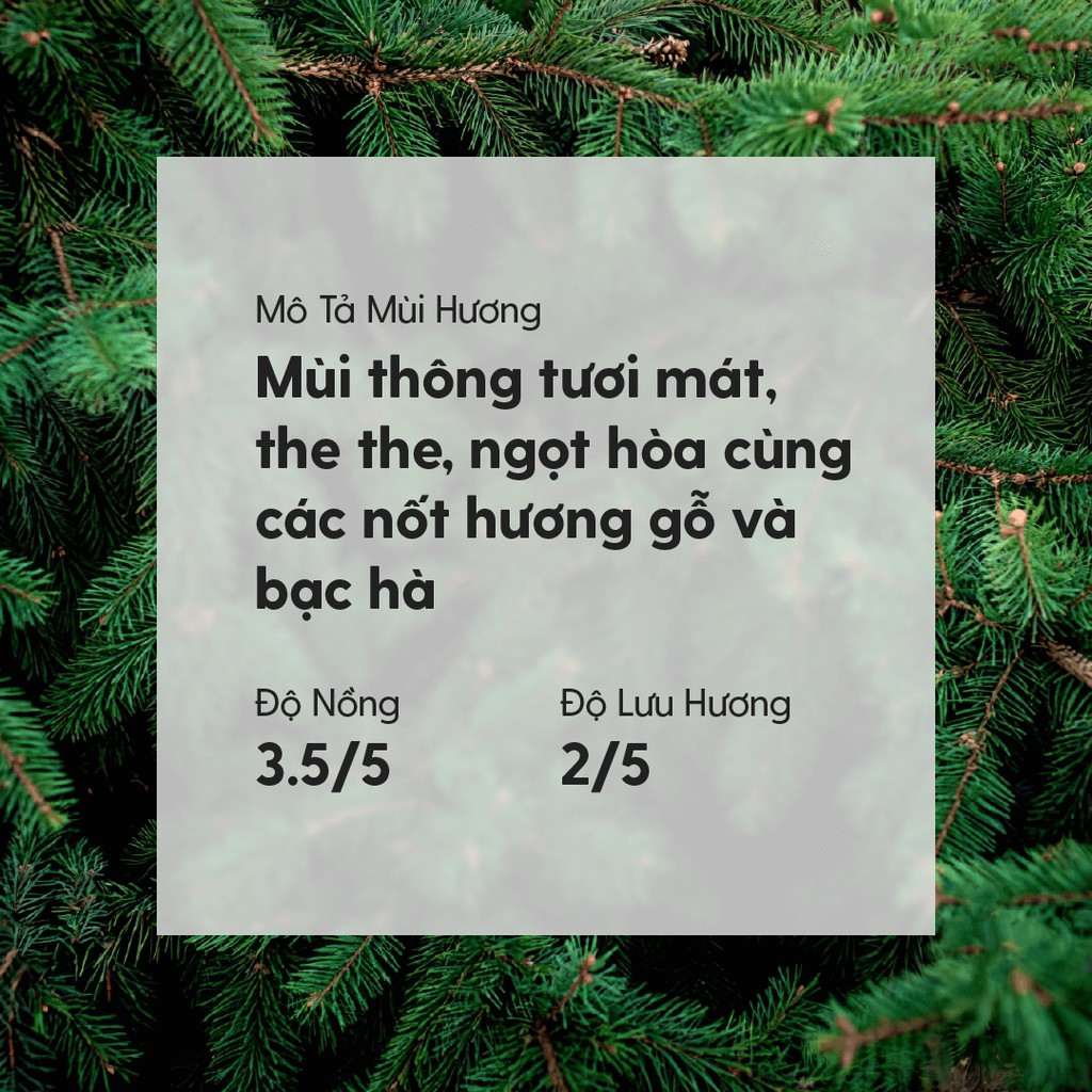 Tinh Dầu Thông Organic Thiên Nhiên Nguyên Chất Đậm Đặc Xông Thơm Phòng, Làm Nến Thơm HENY GARDEN