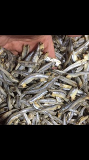 CÁ CƠM XANH 500gram