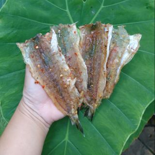 Khô cá mối tiêu đường 1kg