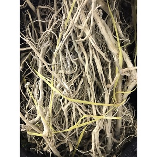 Lũa Rễ Rừng Thuỷ Sinh - Decor Tiểu Cảnh (100 GRAM)