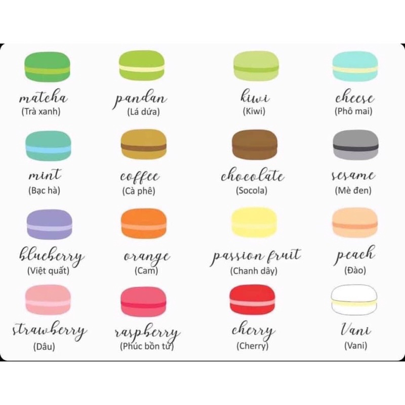 Set 50 bánh Macaron Mini