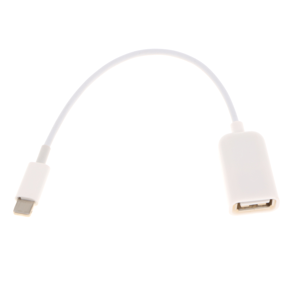 SafeTrip USB Female OTG Adapter Cable Connect Convert Lead for Ipad iPhone Below 10.3