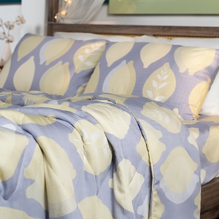 Bộ chăn ga gối drap trải giường set 5 món Tencel
