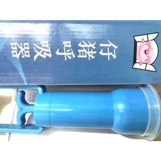 Thụt mũi heo con sơ sinh