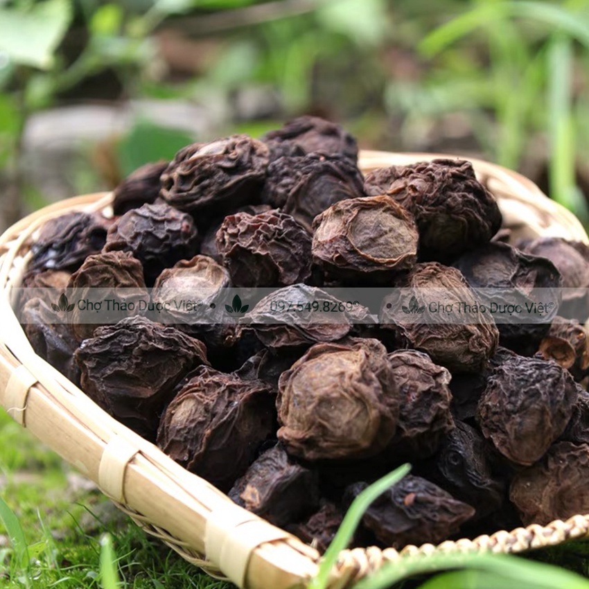 Hạt mắc mật khô 100g  - Chợ Thảo Dược Việt