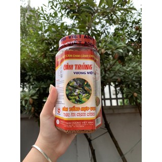 CÁM VƯƠNG VIỆT ANH TỔNG HỢP