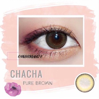 Kính áp tròng thái lan- chacha/vivi/little pure brown lens
