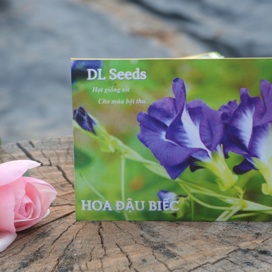 Hoa đậu biếc hạt giống hoa đậu biếc DLSeeds gói 30-40 hạt nhanh nảy mầm, cây hoa leo giàn dễ trồng