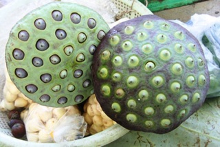 Hạt sen lứt 