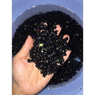 [SALE SỐC] 1 kg Đậu Đen Xanh Lòng Rang HANDMADE (rửa sạch sẽ, lựa đậu hư, rang)