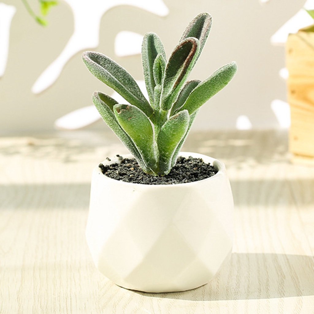 Chậu Cây Bonsai Giả Nhiều Tầng Trang Trí Nhà Cửa