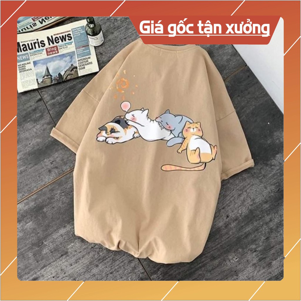 Áo bốn mèo nằm TT12