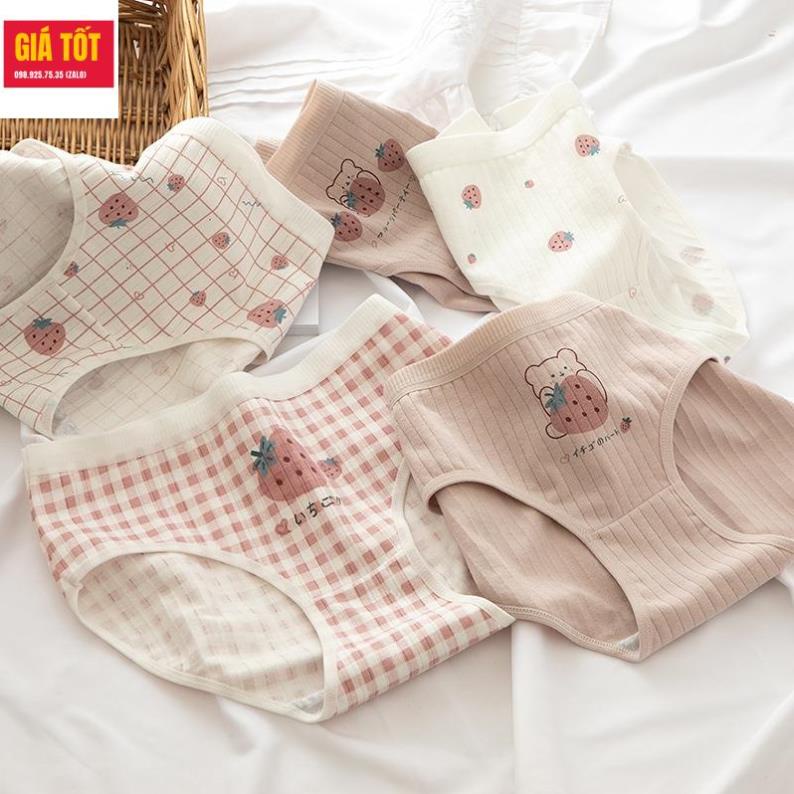 Quần chip cotton cho be gái 20kg 30kg 40kg  ☑️ quần lót trẻ em nữ   ☑️ Thời trang cho bé gái 13 tuổi