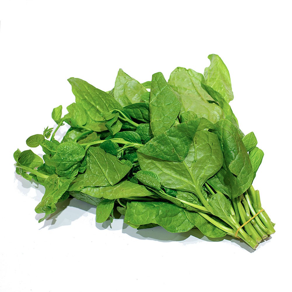 Hạt giống Mồng Tơi 50gr