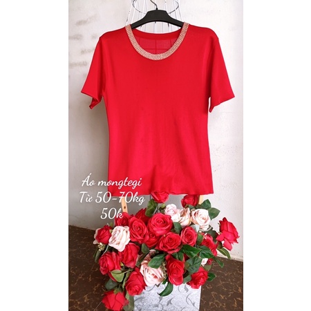 Áo  thun mongtegi kiểu