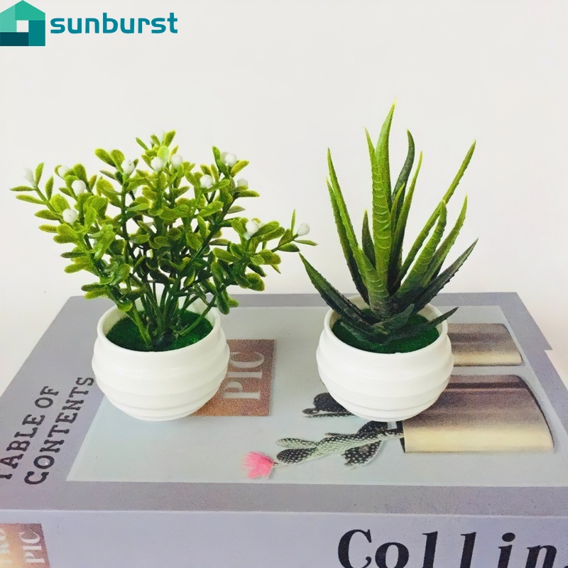 Chậu cây nhân tạo bằng nhựa dùng trang trí nội thất độc đáo