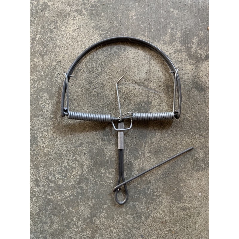 Bẫy chuột bán nguyệt ( bẫy cung )