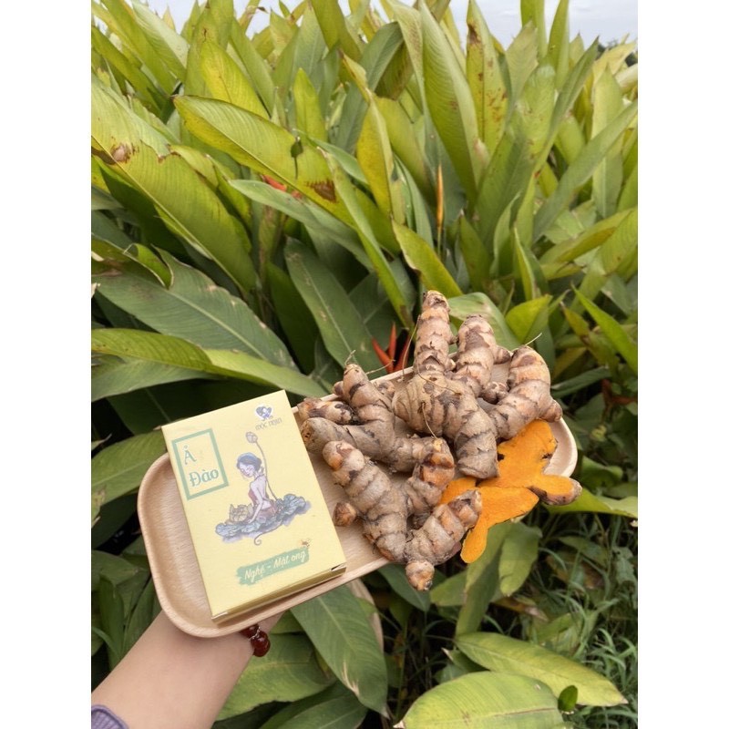 Xà Bông Nghệ Mật Ong – Xà Bông Mướp Đắng Mộc Nhan Natural Soap Ả Đào Thảo Dược handmade 100% nguyên liệu từ thiên nhiên