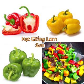 HẠT GIỐNG ỚT CHUÔNG ( VÀNG,ĐỎ,XANH ) - ớt to, giòn ngọt