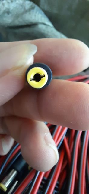 Rắc DC đực chân 5,5 | BigBuy360 - bigbuy360.vn