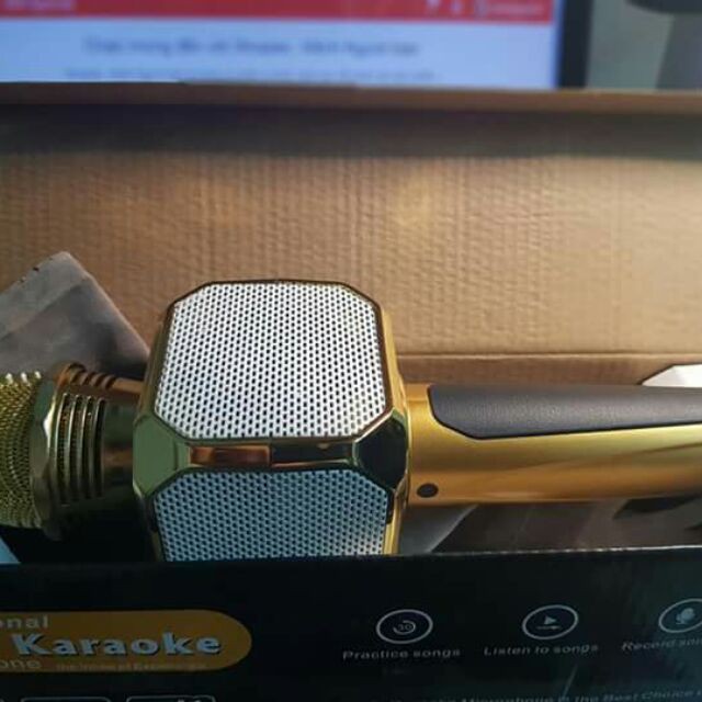 Micrro Karaoke SD-10