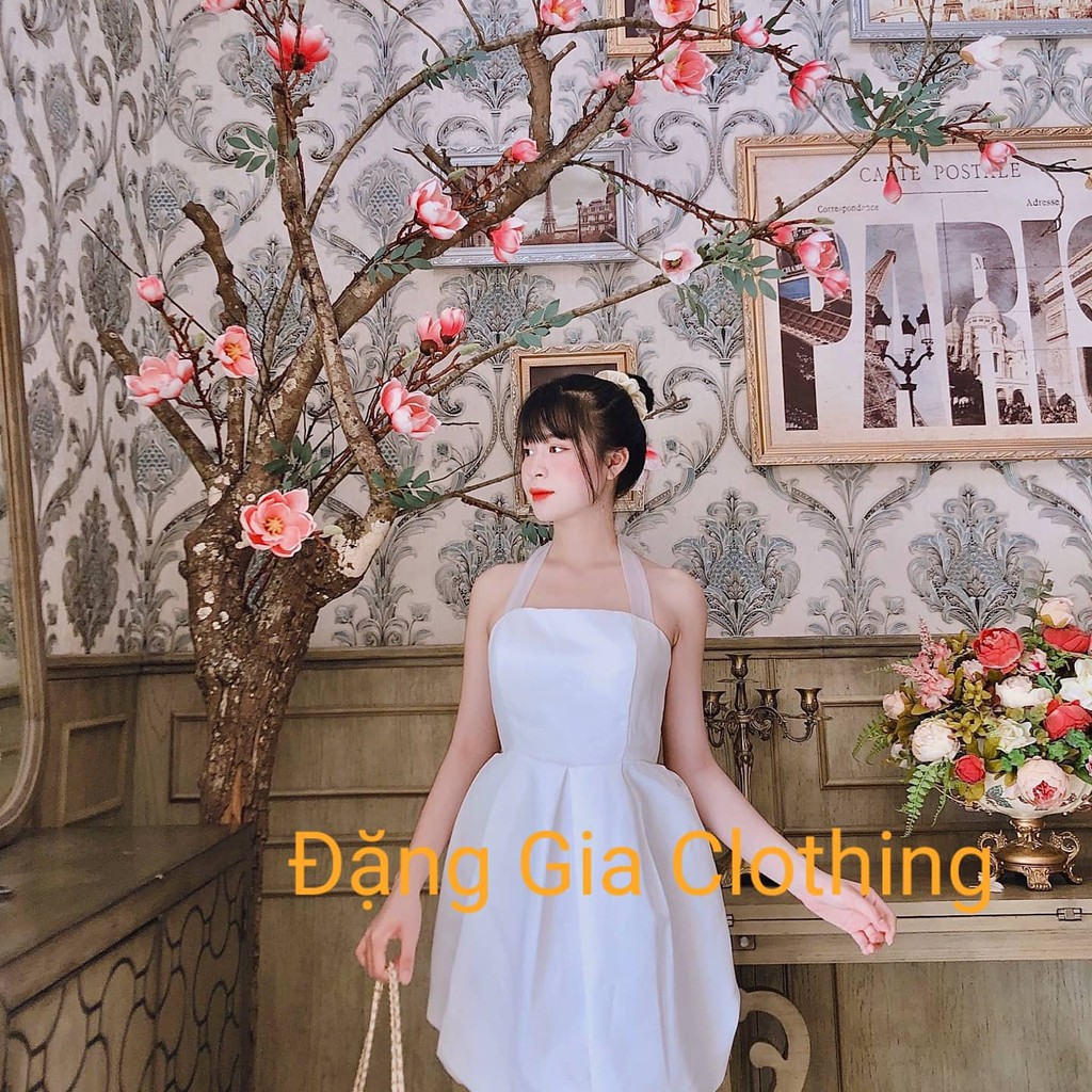 Đầm bí nơ lưng xinh xắn , đầm dự tiệc giá rẻ , đầm đẹp dành cho nàng mi nhon DG 4376