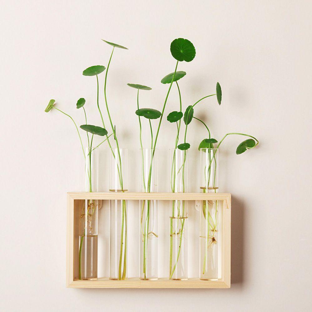 Bình Hoa Thủy Canh Thiết Kế Hiện Đại Trang Trí Nhà Cửa|Bình Hoa Thủy Tinh Thiết Kế Sang Trọng Cao Cấp