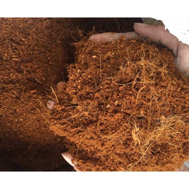 Mụn sơ dừa giá thể trồng cây - 500gr