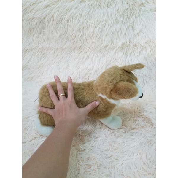 gấu bông con chó Corgi giống như thật chính hãng