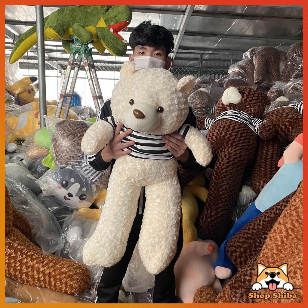 Gấu Bông Teddy 95cm Siêu Đáng Yêu - Vải Nhung Mềm Mịn