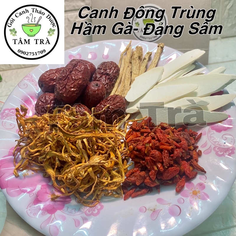 Gói canh Hầm Gà - Đông Trùng Hạ Thảo-Đảng Sâm-5 vị