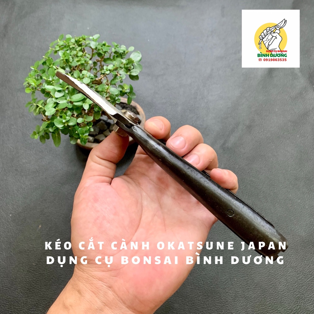 KÉO CẮT CÀNH THÉP ĐÚC OKATSUNE JAPAN - KÉO CẮT TỈA CÂY CẢNH BONSAI OKATSUNE JAPAN