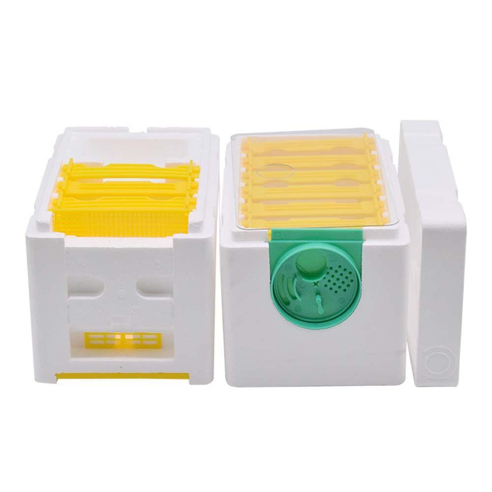 SUENIN Hộp Nuôi Ong Mini Tiện Lợi