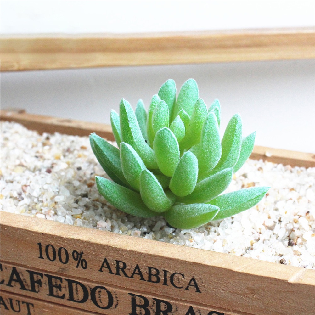 Chậu cây bonsai nhỏ nhân tạo để bàn trang trí nhà cửa / văn phòng