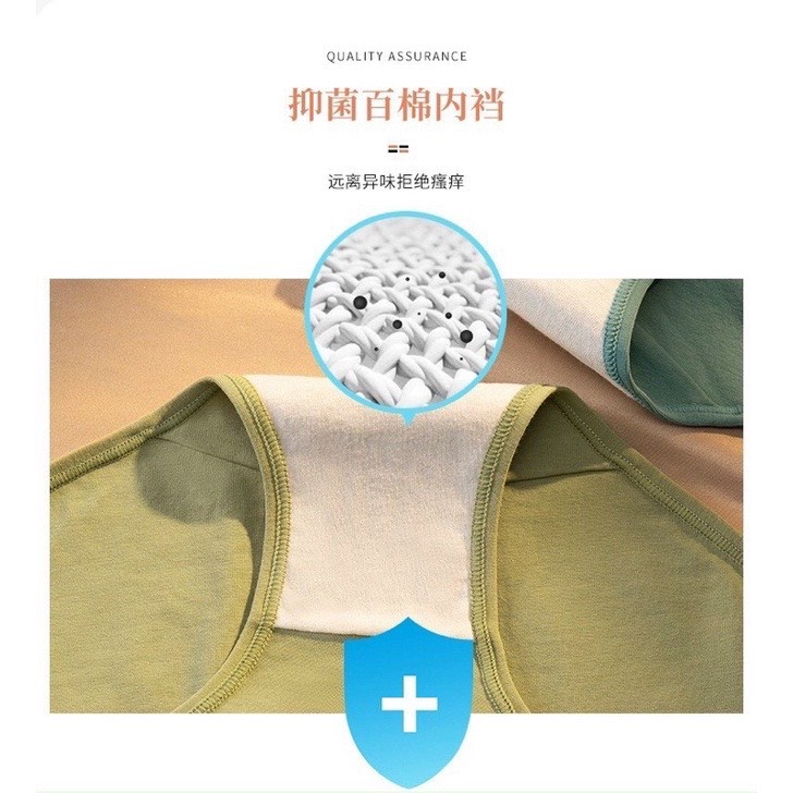 Quần lót nữ cotton cao cấp đẹp không đường may kháng khuẩn 5 màu basic AMYRA QL038 | WebRaoVat - webraovat.net.vn