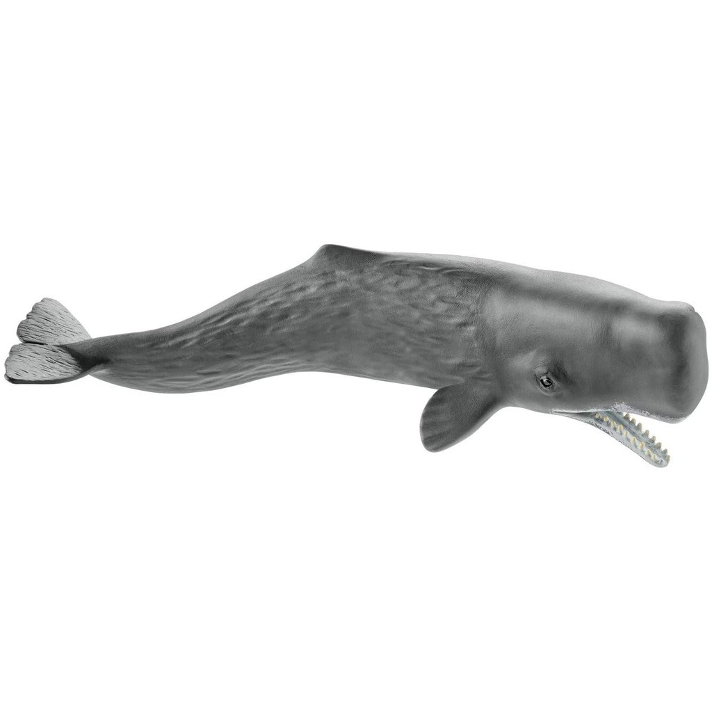 Mô hình SCHLEICH Cá nhà táng 14764