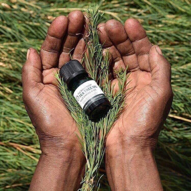 Tinh dầu chấm mụn Tea Tree oil
