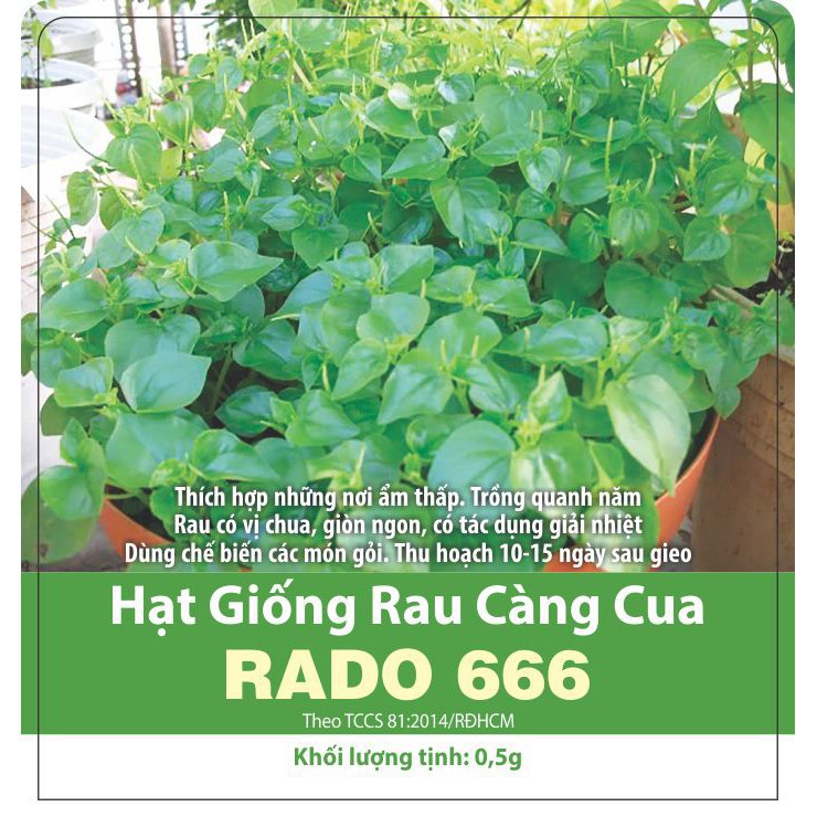 Hạt Giống Rau Càng Cua Xanh Giòn, Dễ Trồng