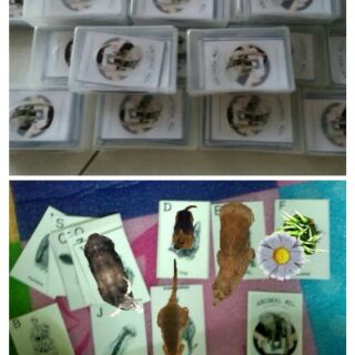 Bộ gồm 34Thẻ Card Animal 4d