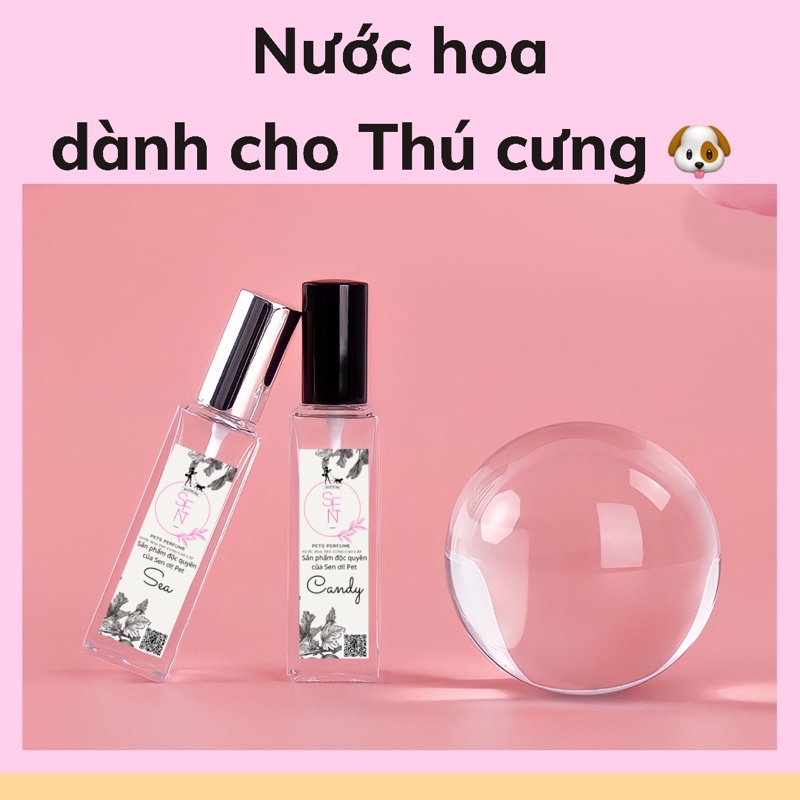 Xịt khử mùi chó mèo / Nước hoa chó mèo cao cấp độc quyền