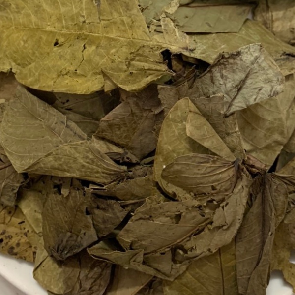 Lá Muồng Trâu khô (1KG) Hỗ Trợ Người Hắc Lào, Vẩy Nến