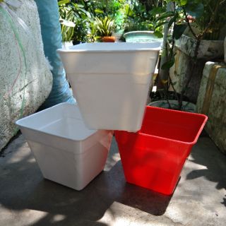 Chậu vuông 14cmx cao12cm