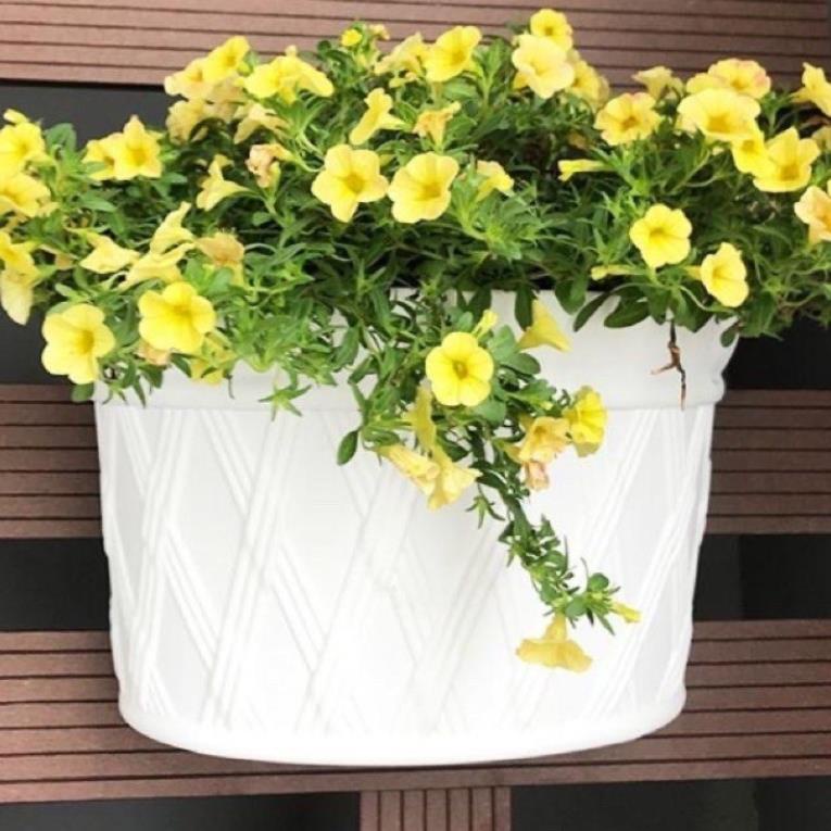 Chậu nhựa trồng cây ốp treo tường thông minh hình bán nguyệt-loại dày,đẹp