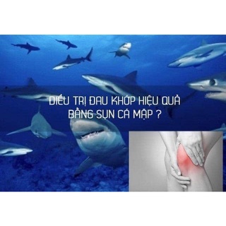 Sụn cá mập Costar Shark Cartilage 365 viên